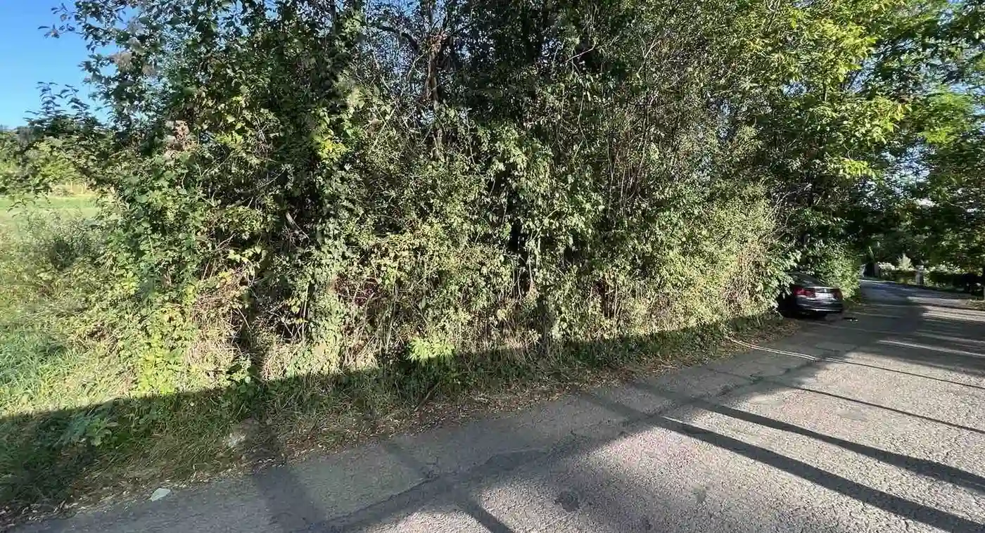 plac na prodaju Petrovaradin 2465m2 515899