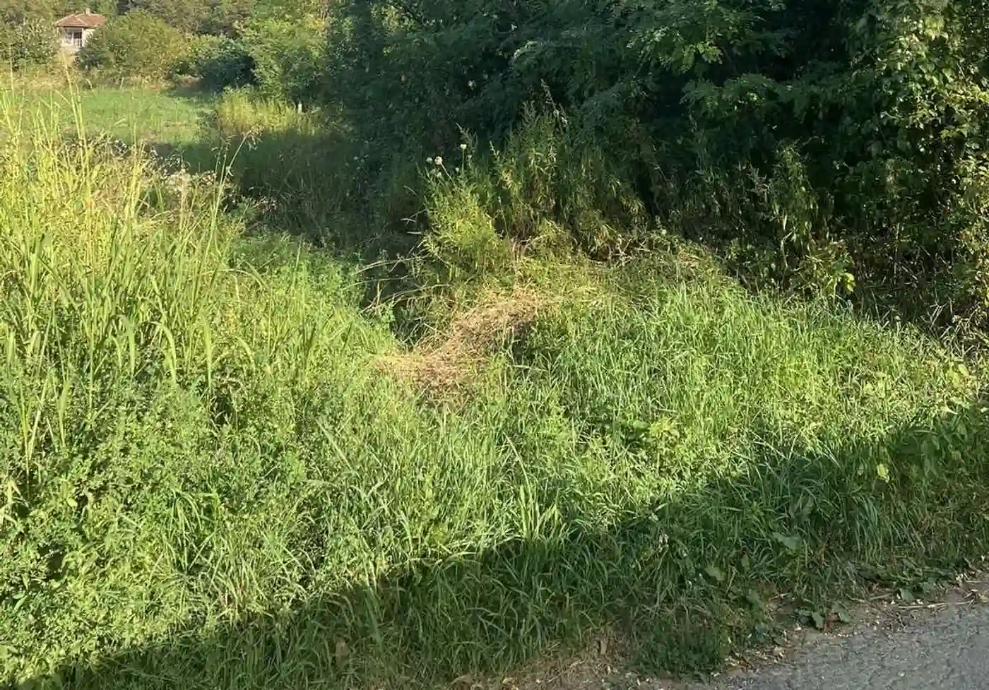 plac na prodaju Petrovaradin 2465m2 515899
