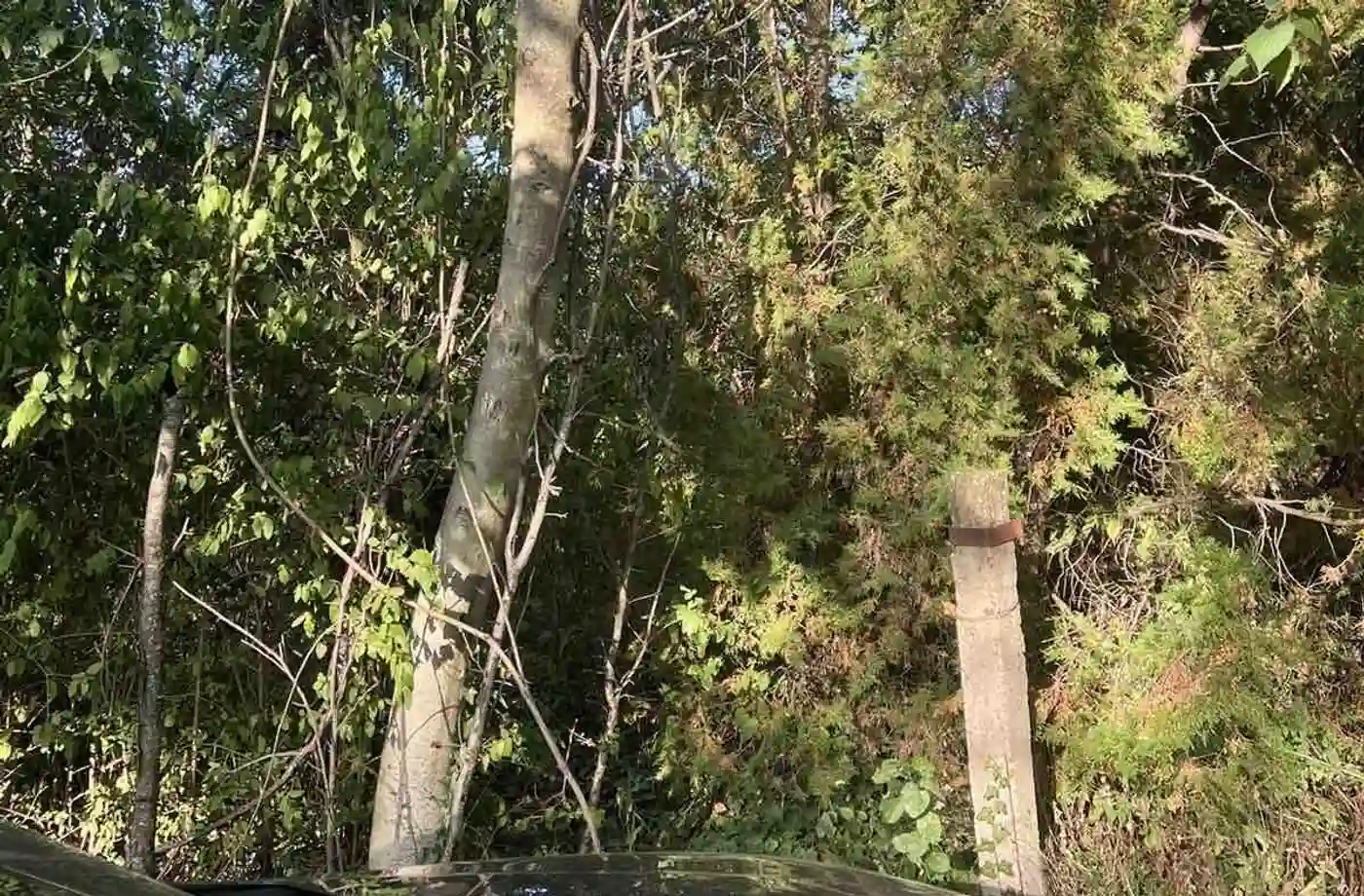 plac na prodaju Petrovaradin, 2465m2 515899