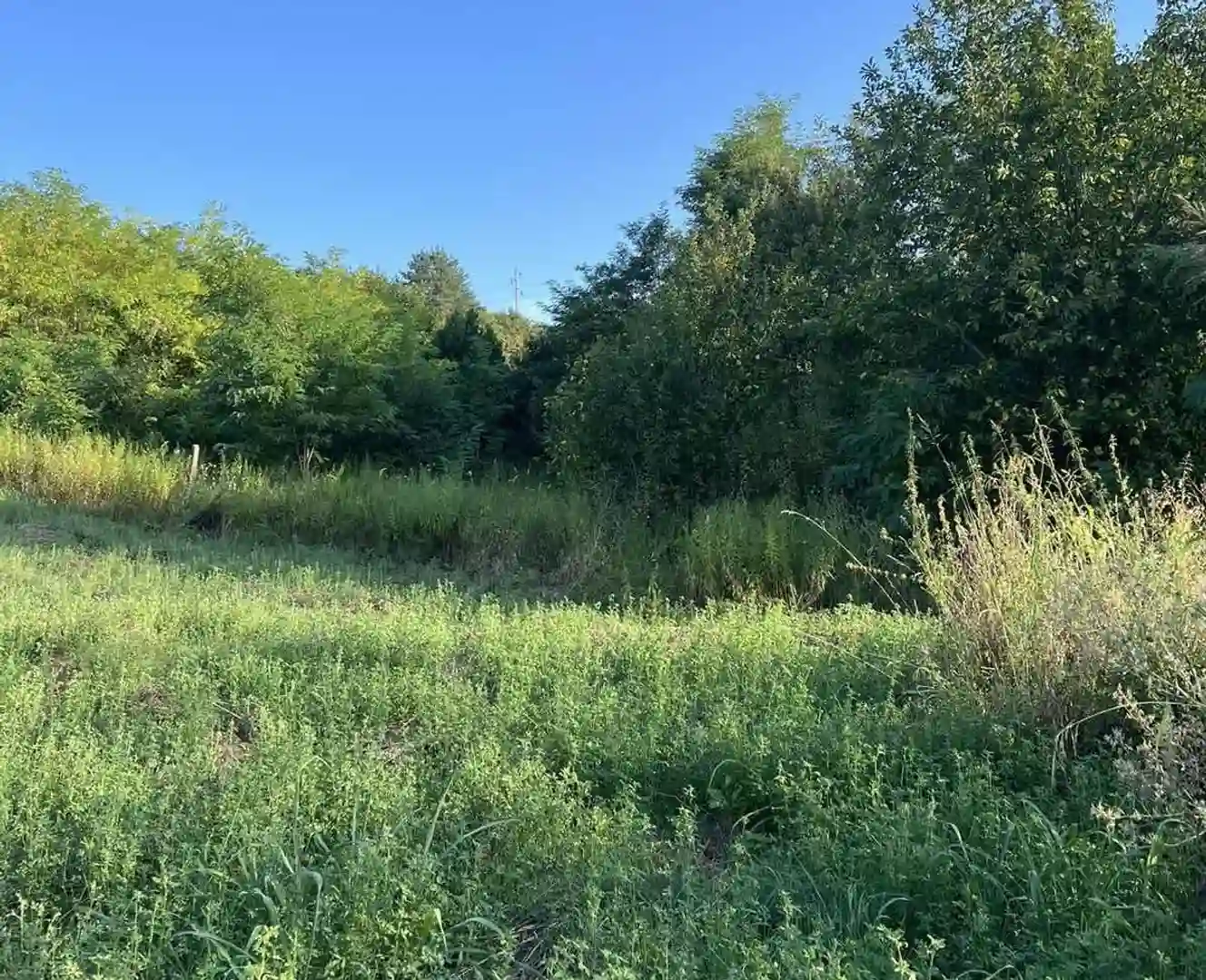 plac na prodaju Petrovaradin 2465m2 515899