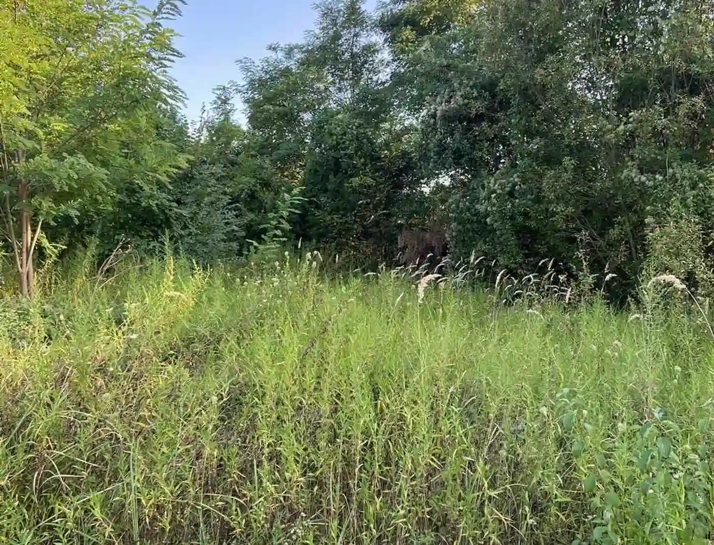 plac na prodaju Petrovaradin 2465m2 515899