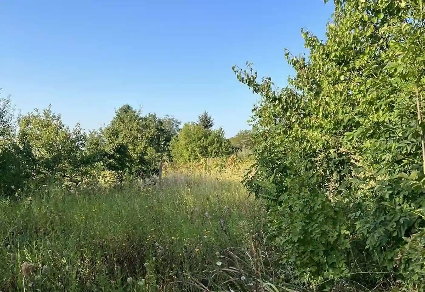 plac na prodaju Petrovaradin 2465m2 515899