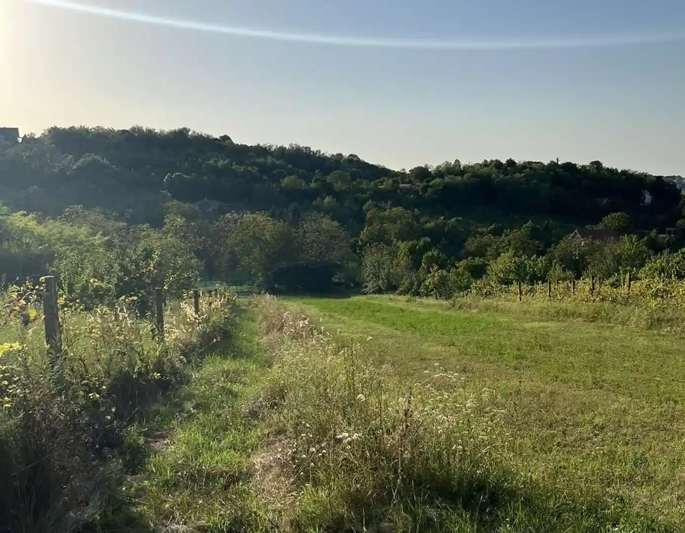 plac na prodaju Petrovaradin 2465m2 515899