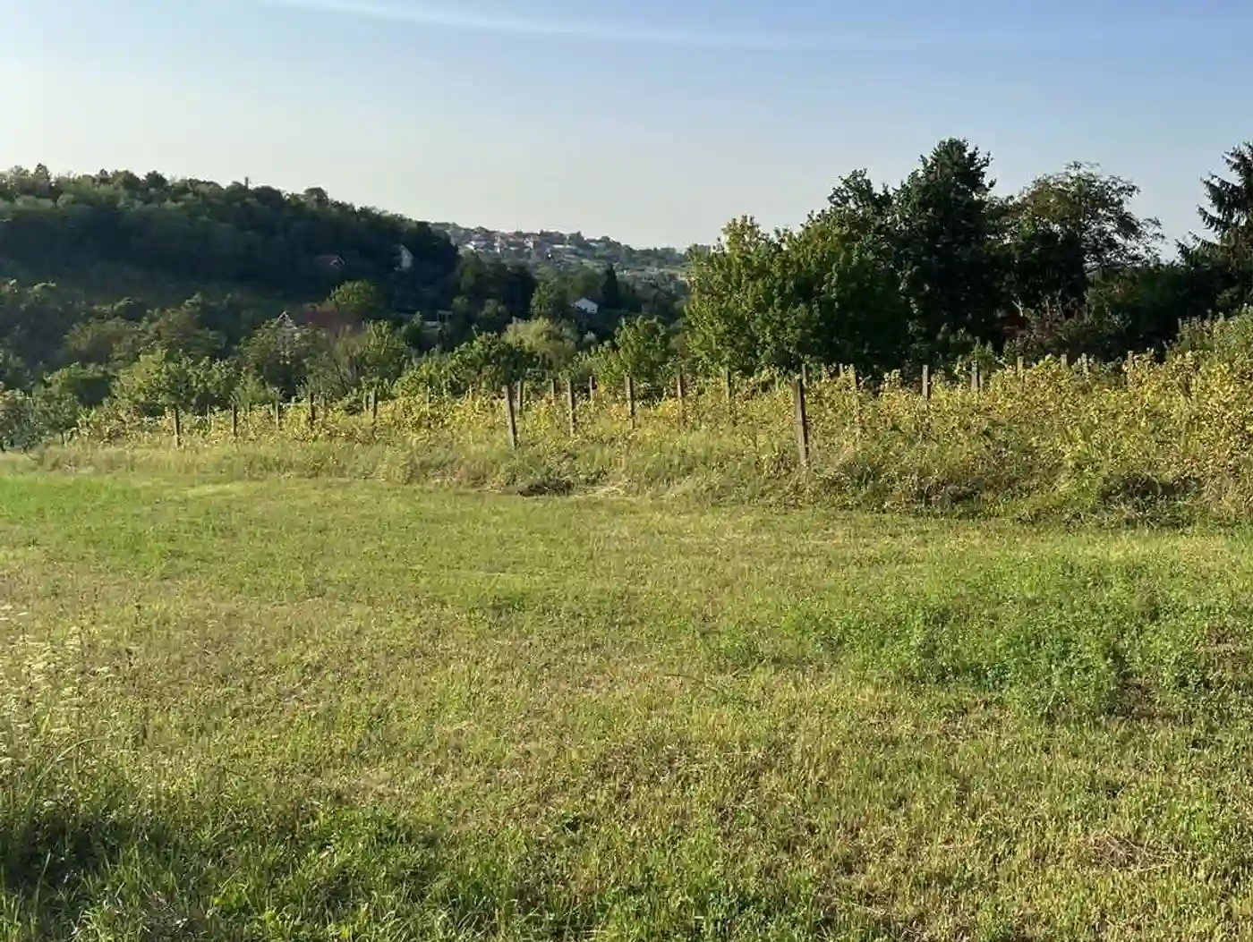 plac na prodaju Petrovaradin 2465m2 515899