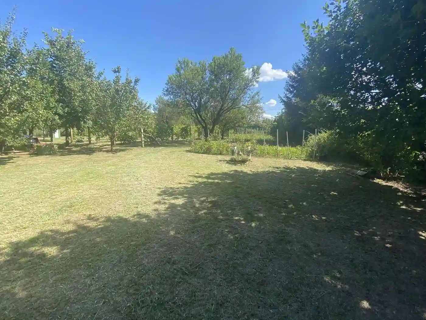 kuca na prodaju Čortanovci 144m2 516693