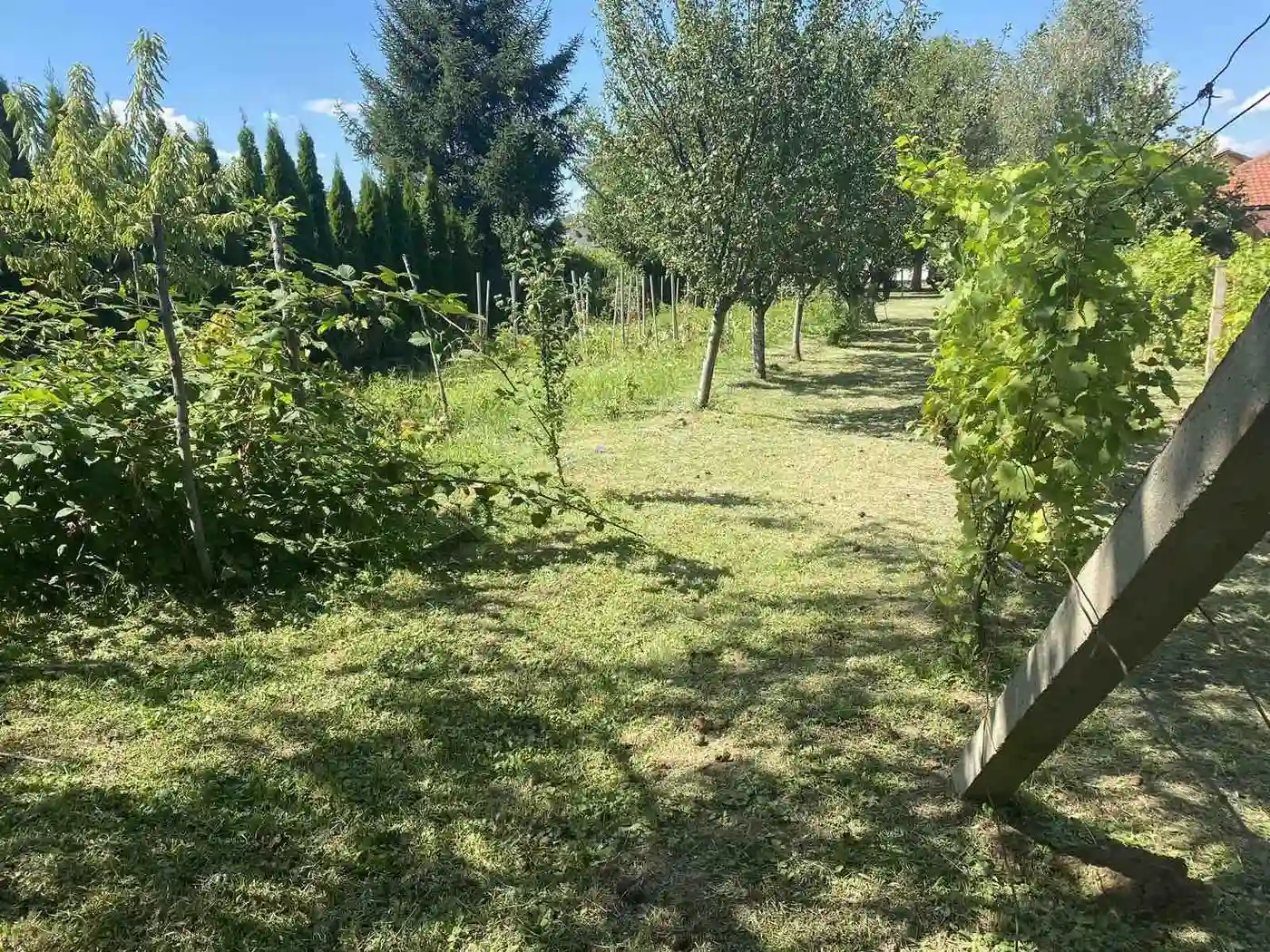 kuca na prodaju Čortanovci 144m2 516693