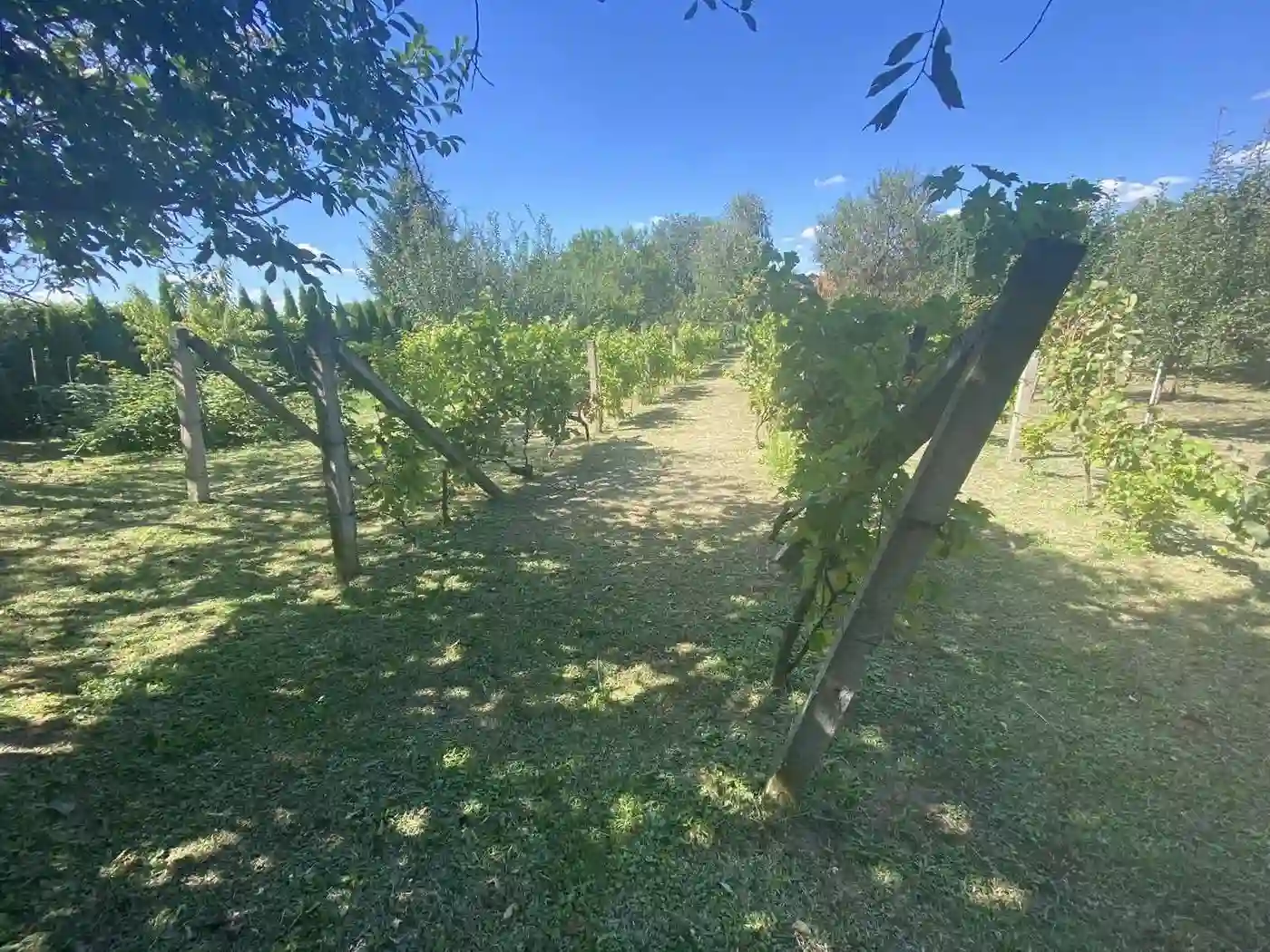 kuca na prodaju Čortanovci 144m2 516693