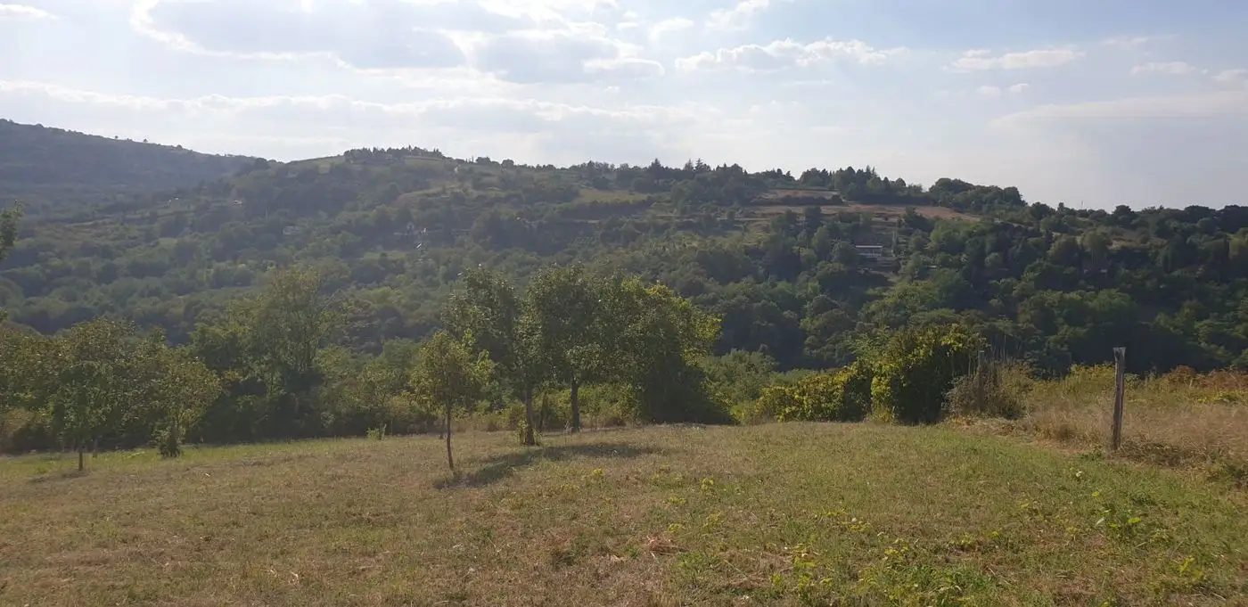 plac na prodaju Ledinci 4469m2 517087