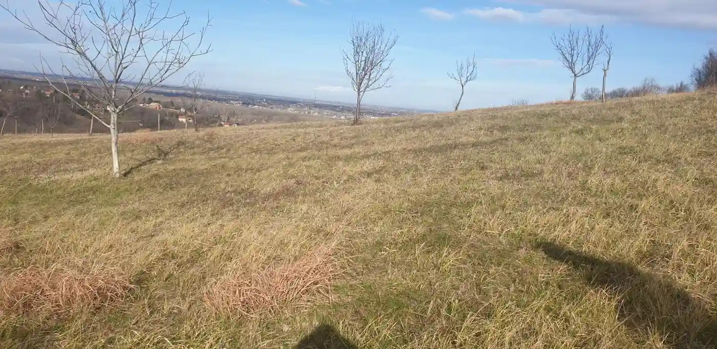 plac na prodaju Ledinci 4469m2 517087