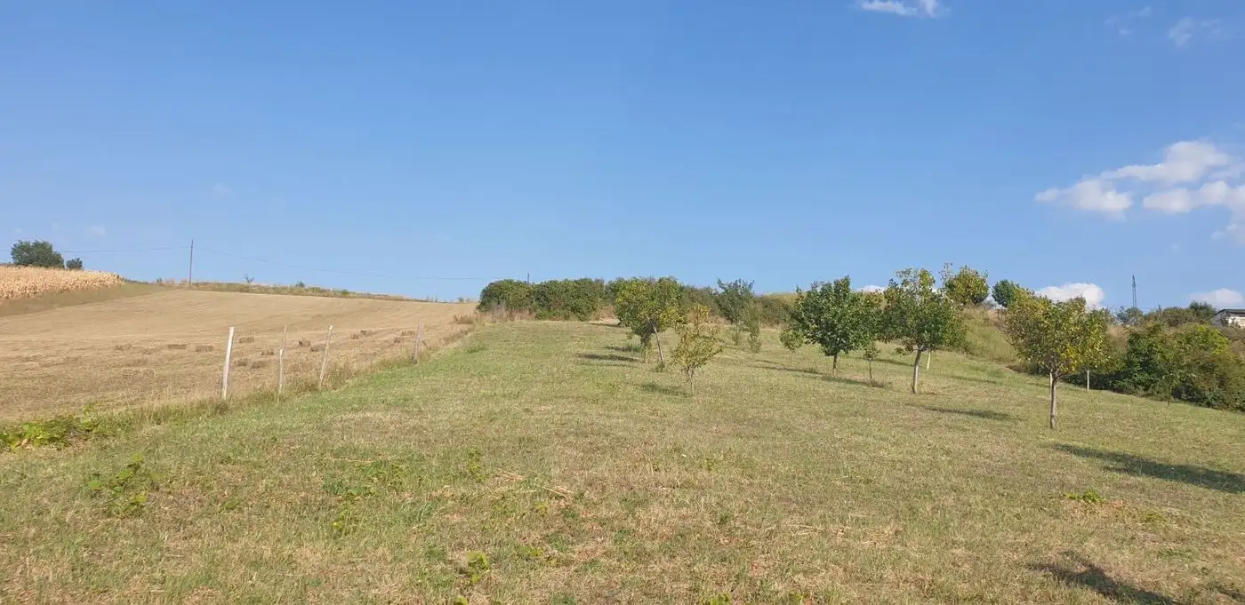 plac na prodaju Ledinci 4469m2 517087