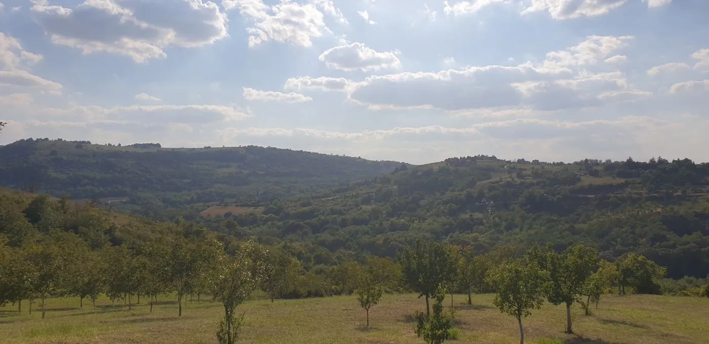 plac na prodaju Ledinci 4469m2 517087