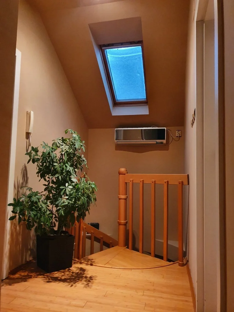stan na prodaju Novi Sad 113m2 517086