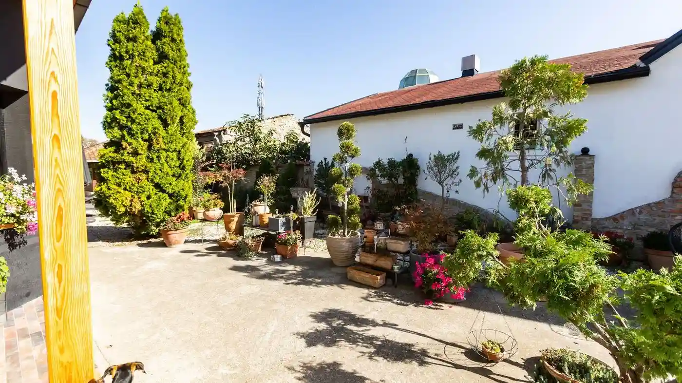 kuca na prodaju Novi Sad 226m2 517579