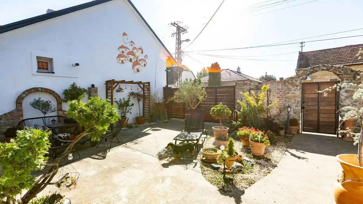 kuca na prodaju Novi Sad 226m2 517579
