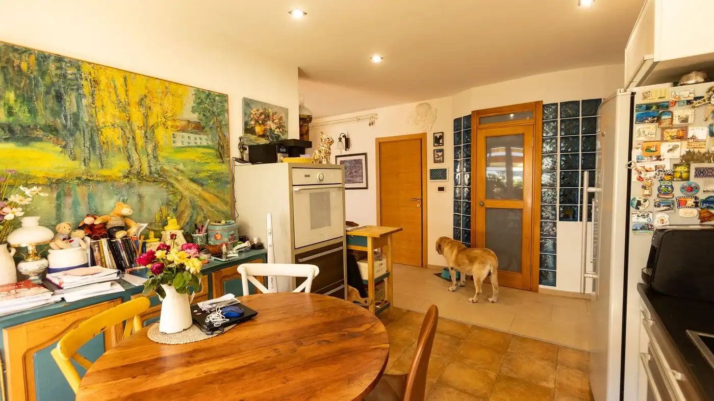 kuca na prodaju Novi Sad 226m2 517579