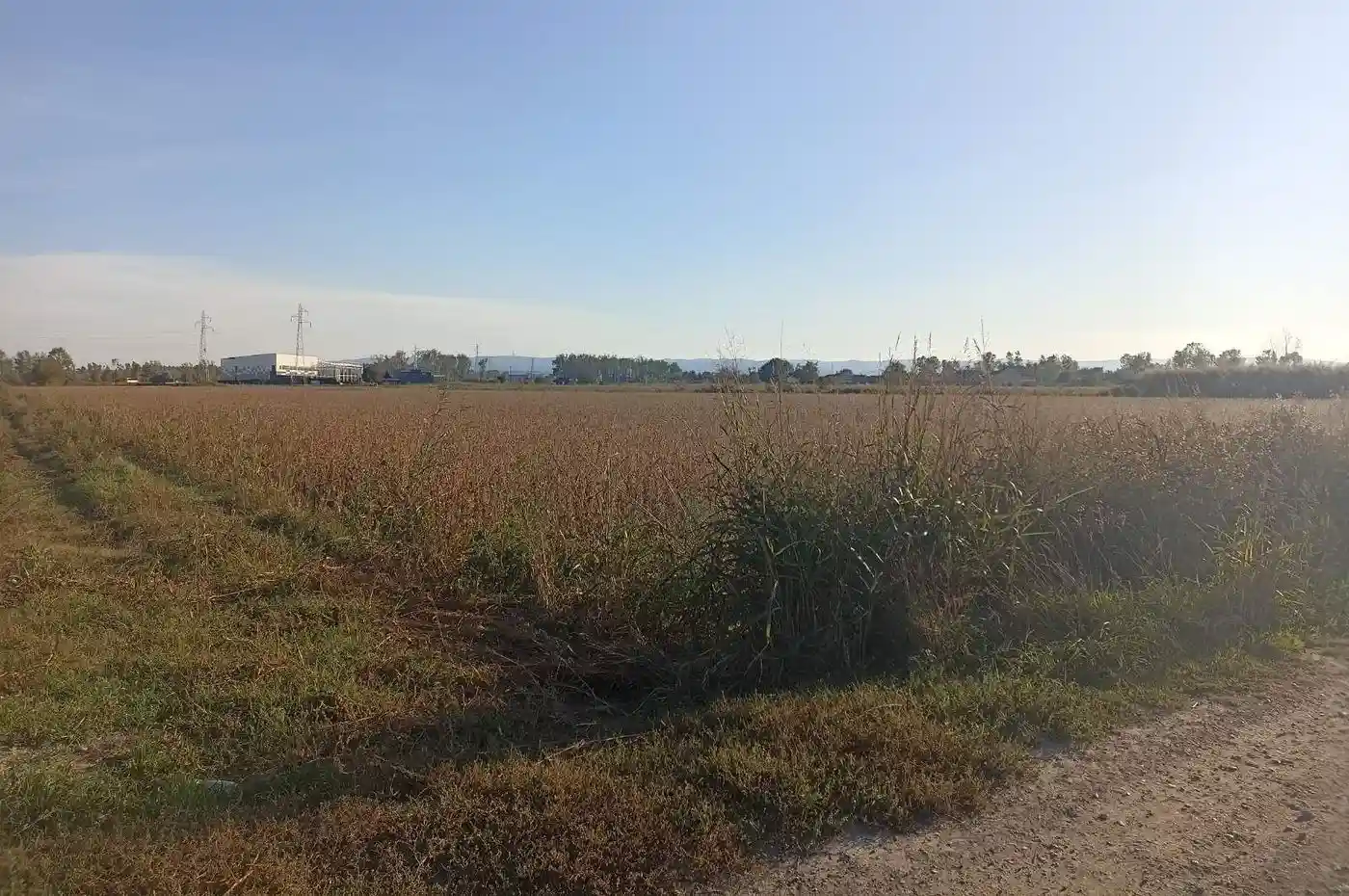 plac na prodaju Novi Sad 5610m2 517870