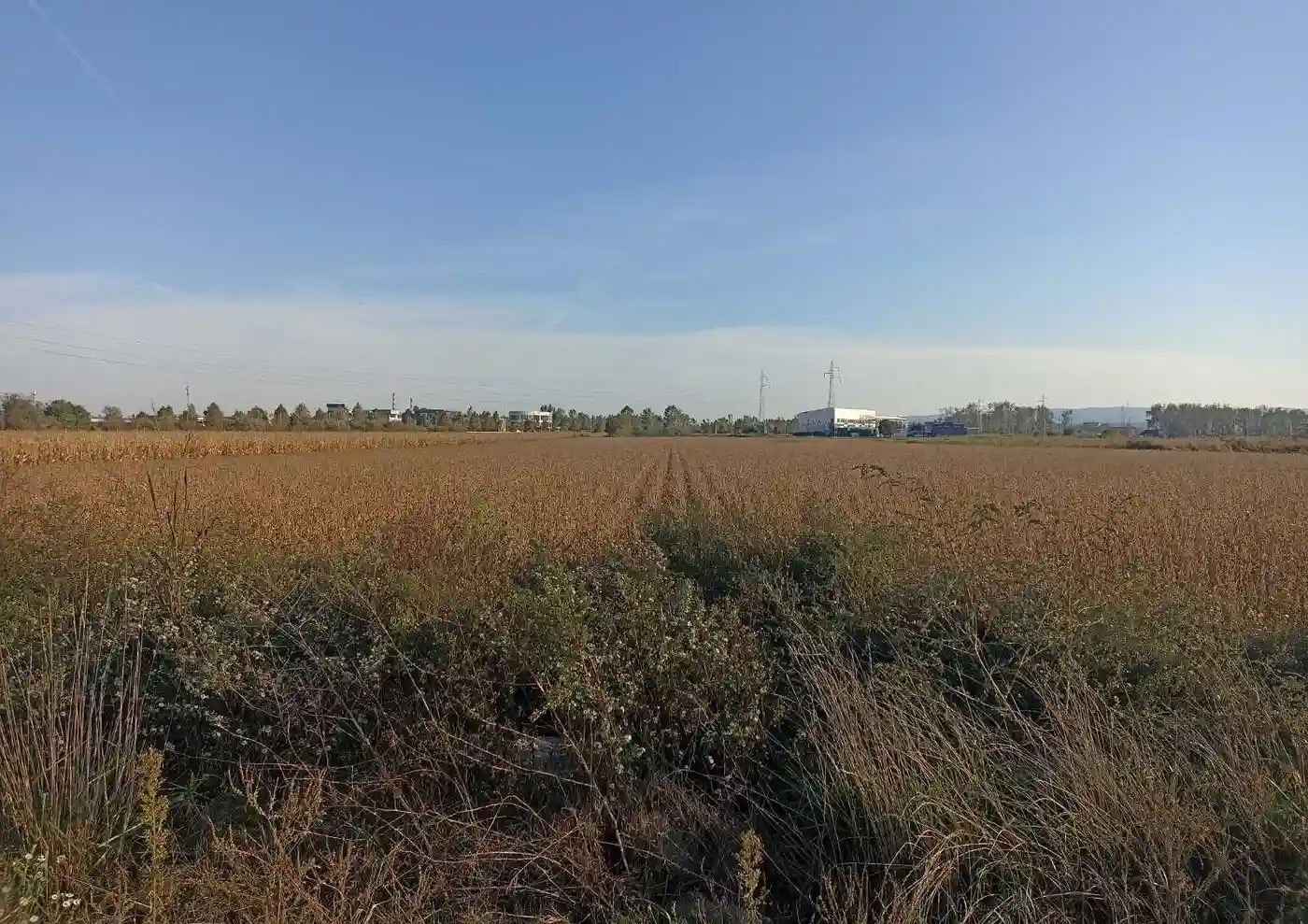 plac na prodaju Novi Sad 5610m2 517870