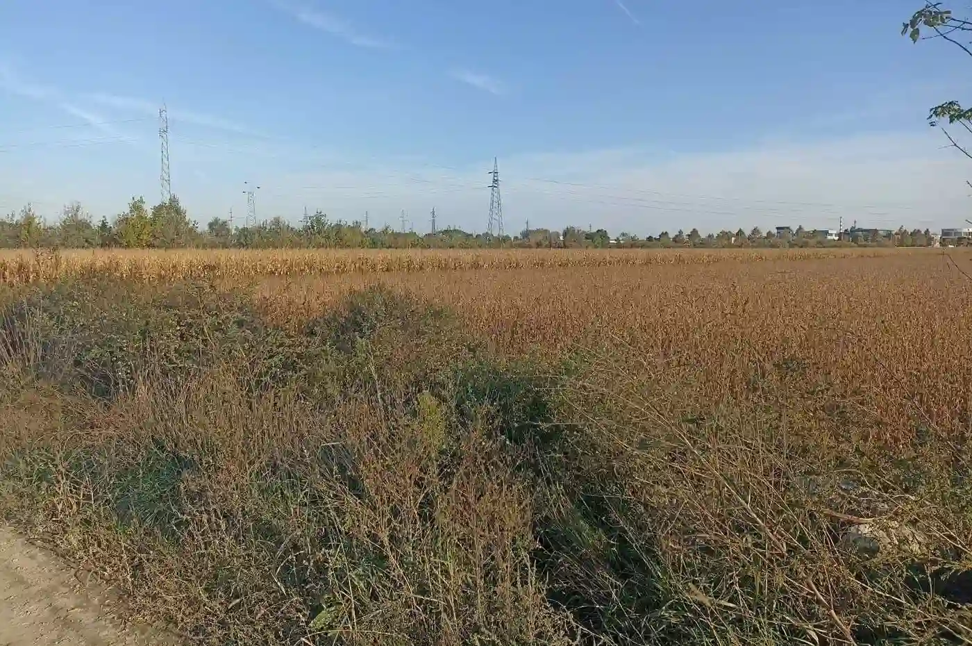 plac na prodaju Novi Sad 5610m2 517870