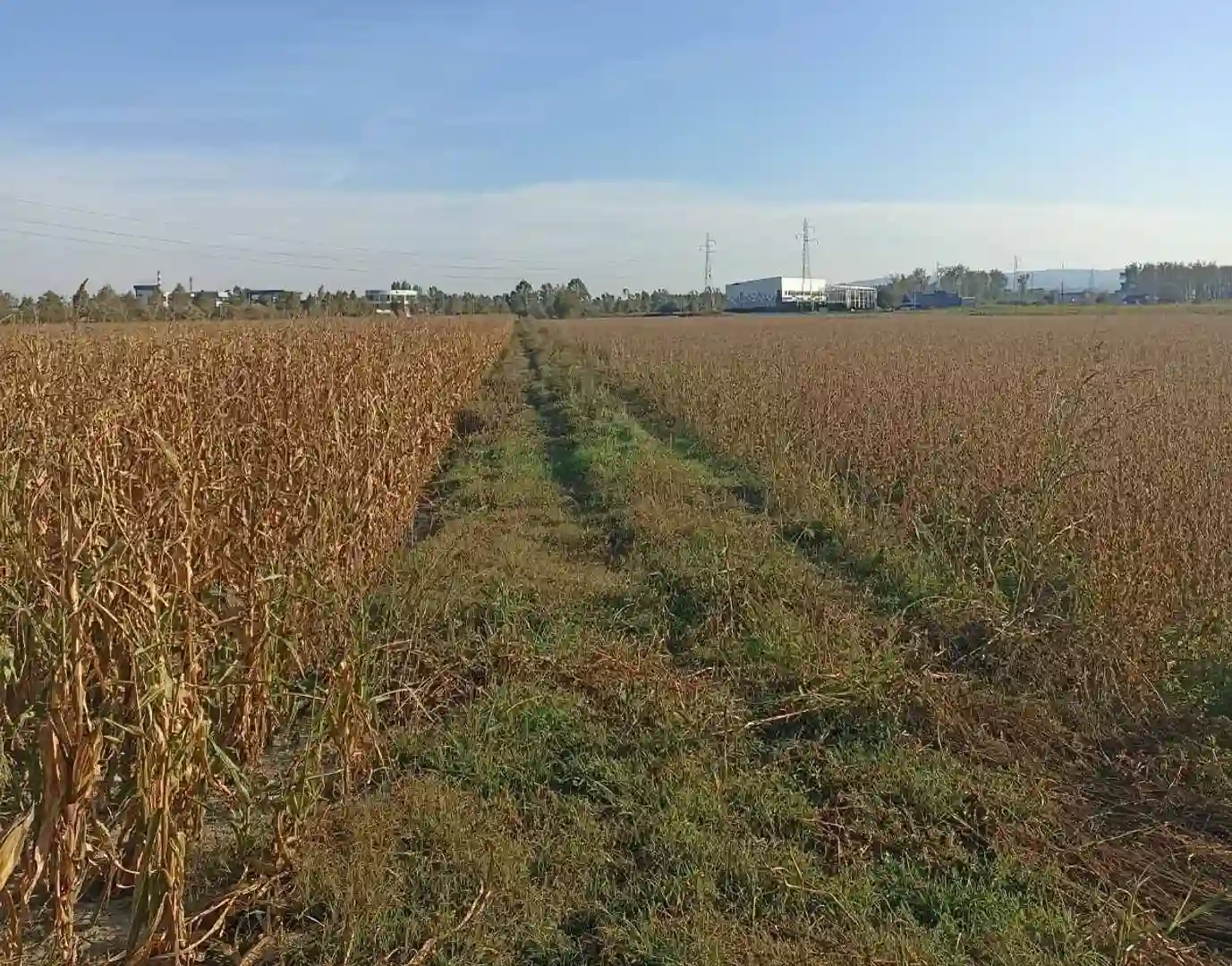 plac na prodaju Novi Sad, 5610m2 517870