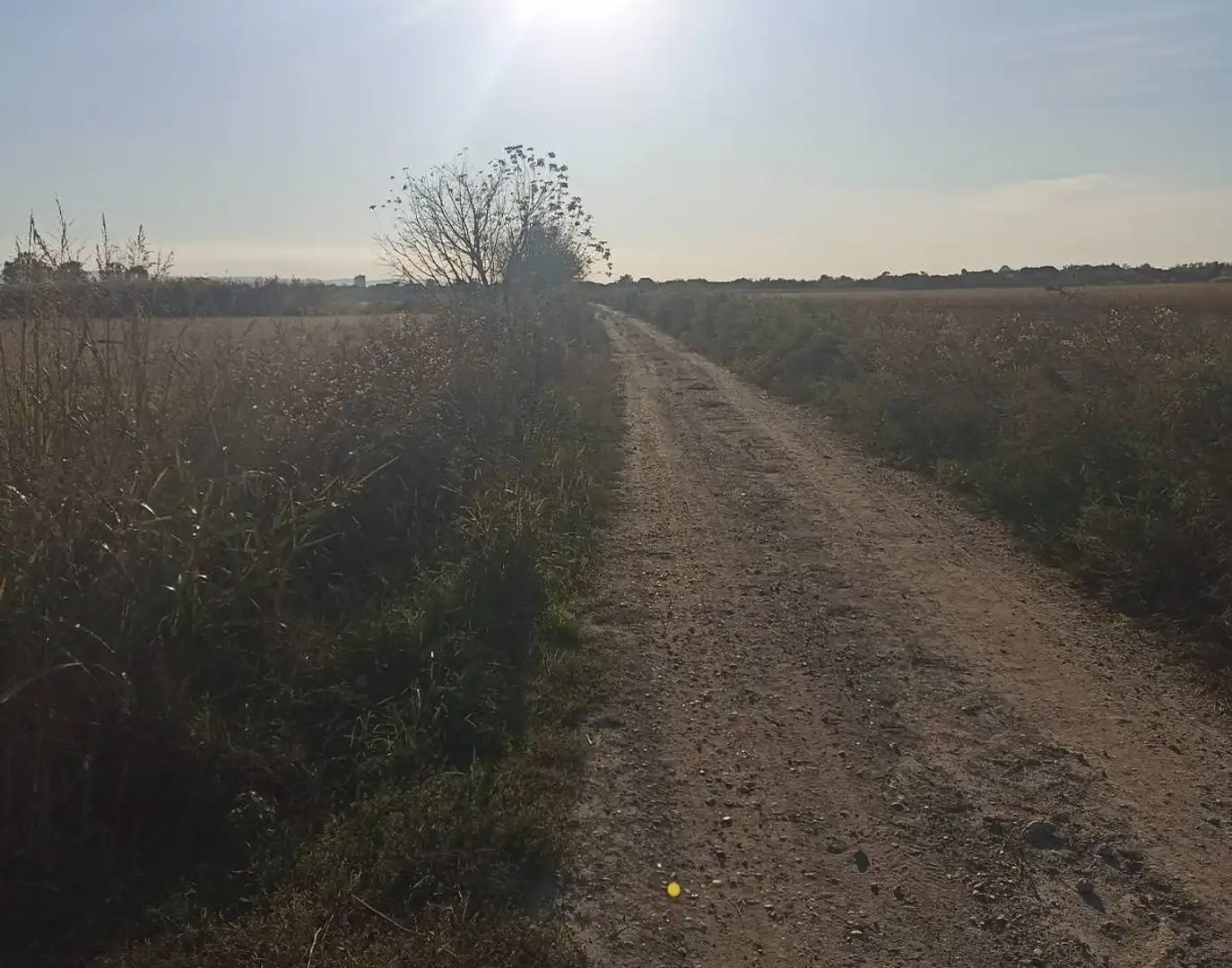 plac na prodaju Novi Sad 5610m2 517870