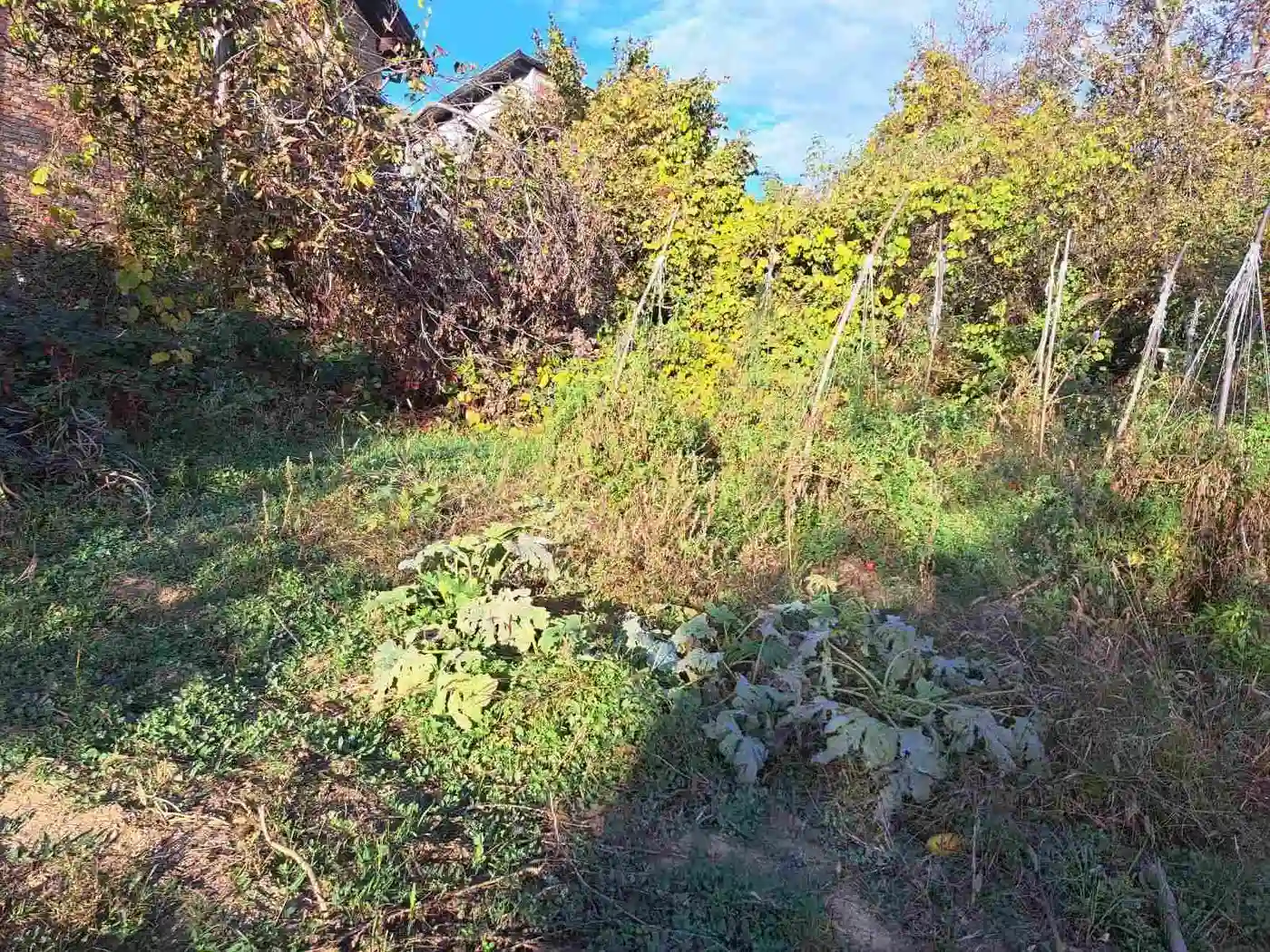 kuca na prodaju Sremska Kamenica 196m2 518763