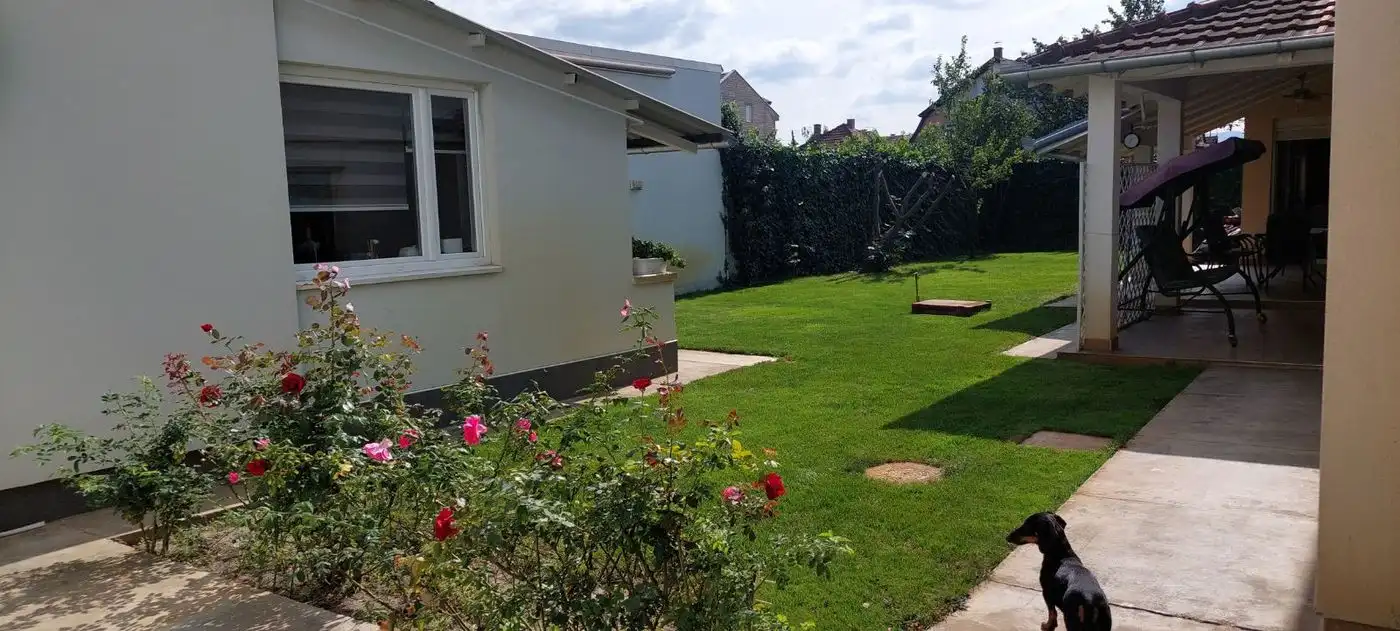 kuca na prodaju Novi Sad 650m2 518942