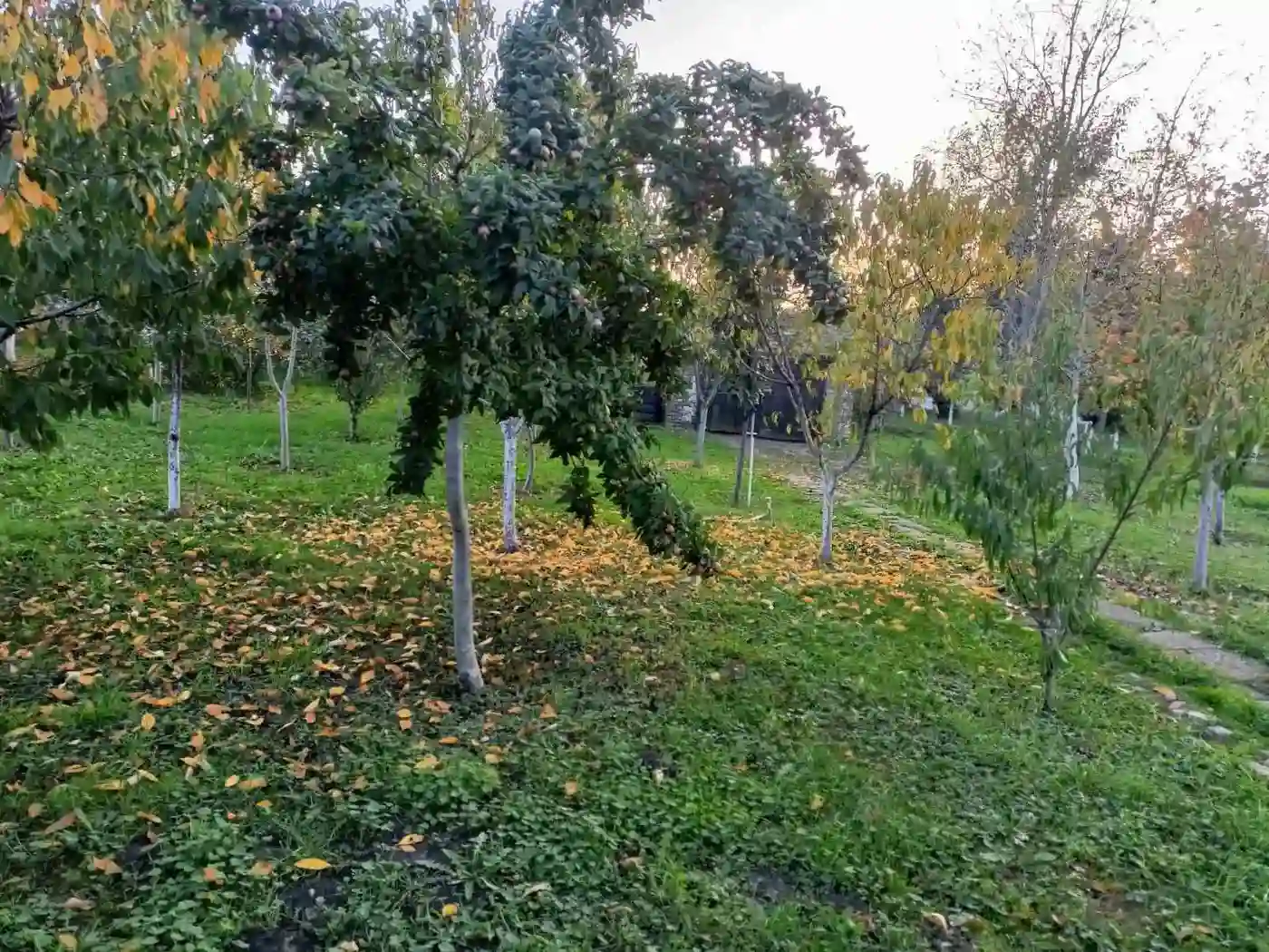stan na prodaju Vrbas 58m2 542324