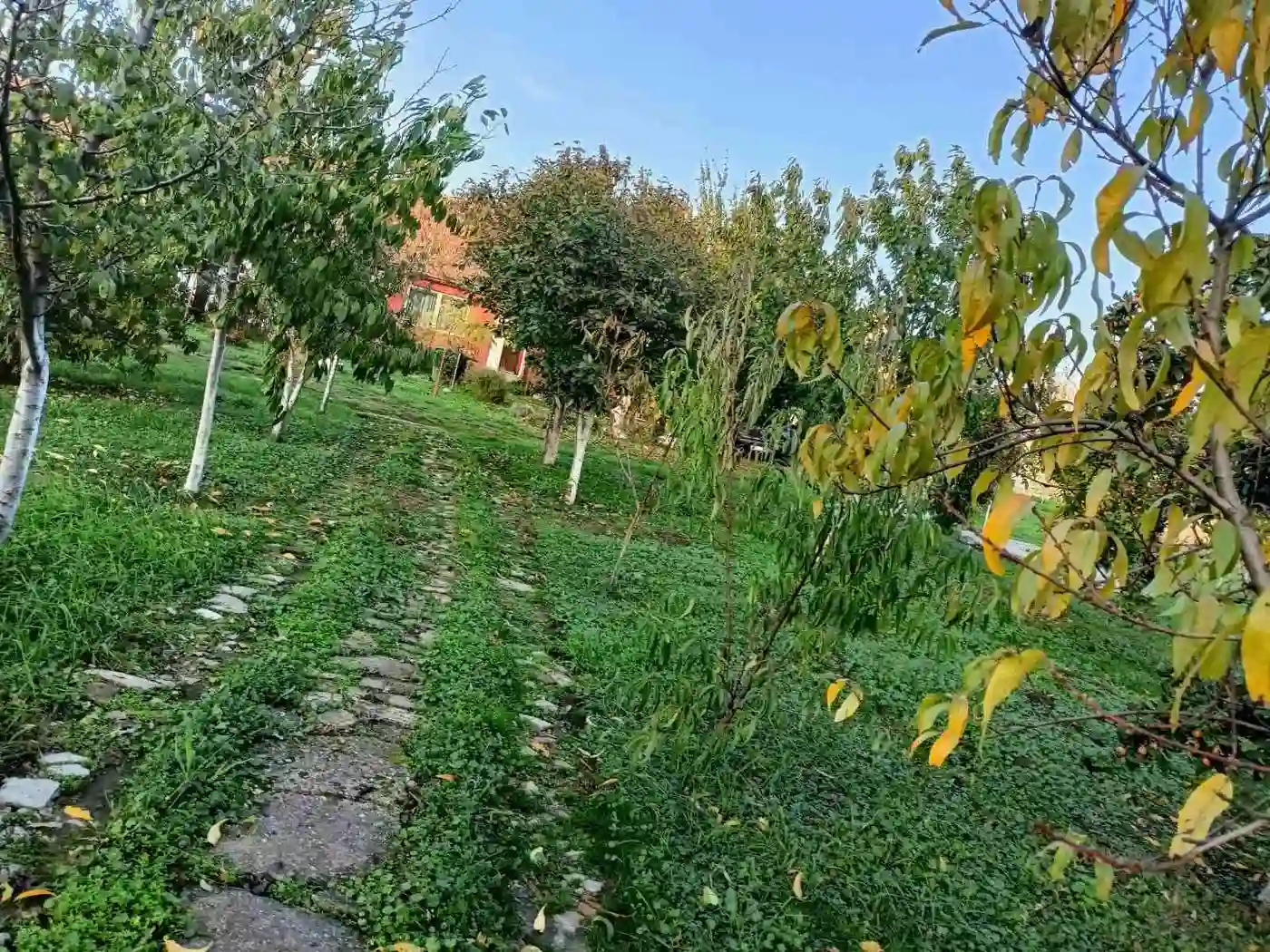 stan na prodaju Vrbas 58m2 542324