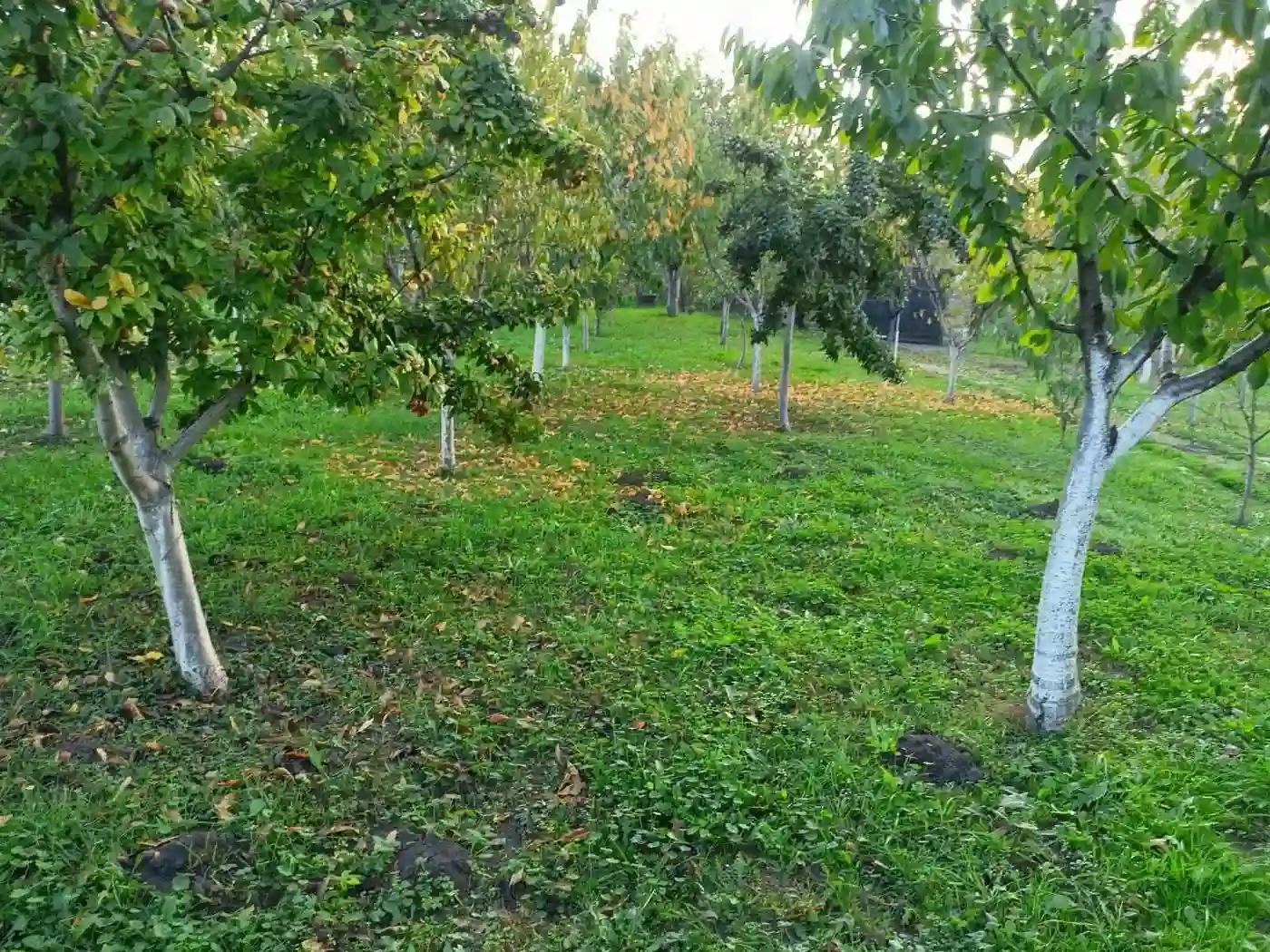 stan na prodaju Vrbas 58m2 542324