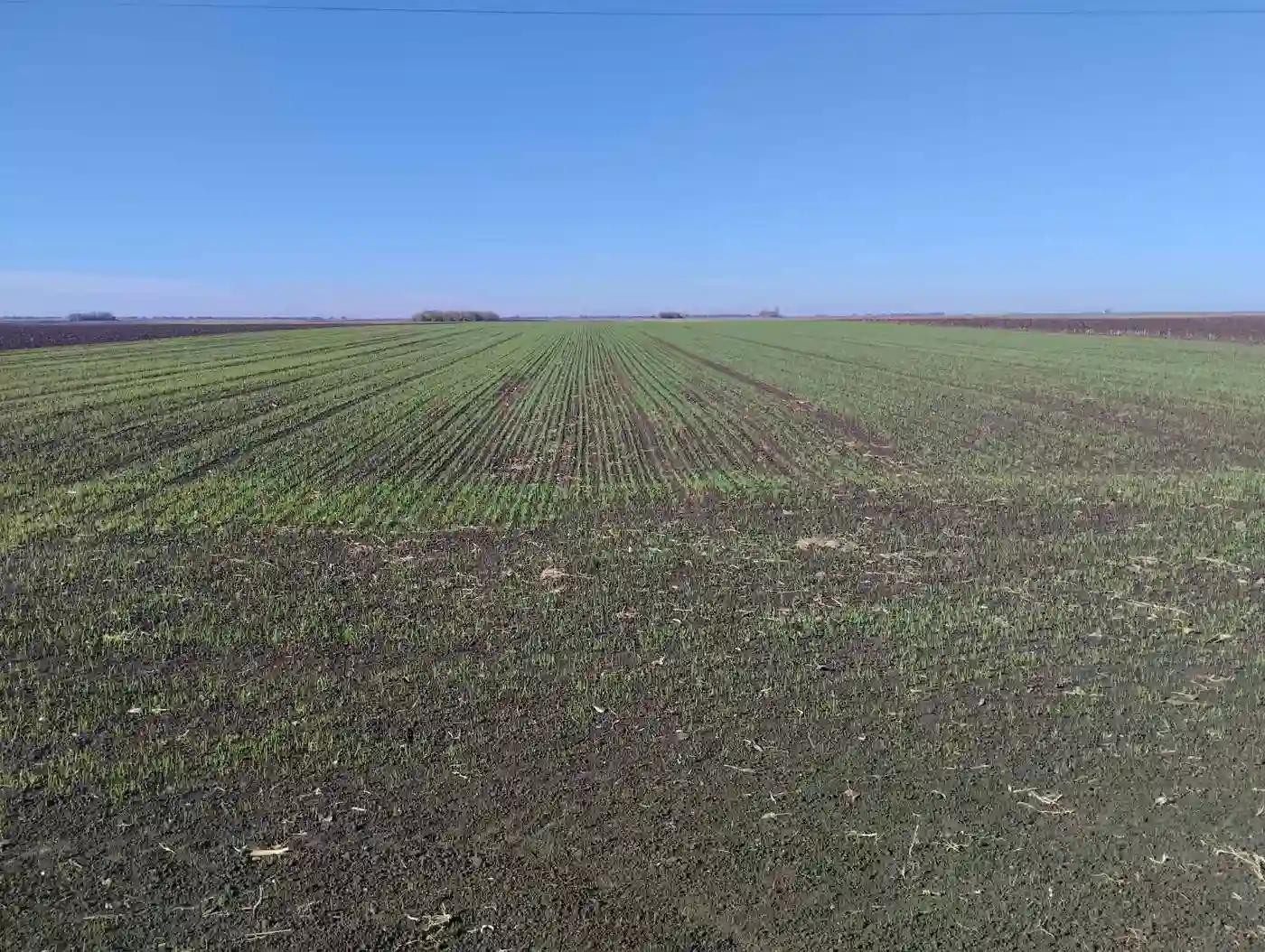 plac na prodaju Srbobran, 27138m2 518961