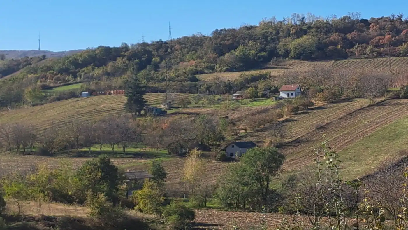 plac na prodaju Sremski Karlovci 2839m2 519652
