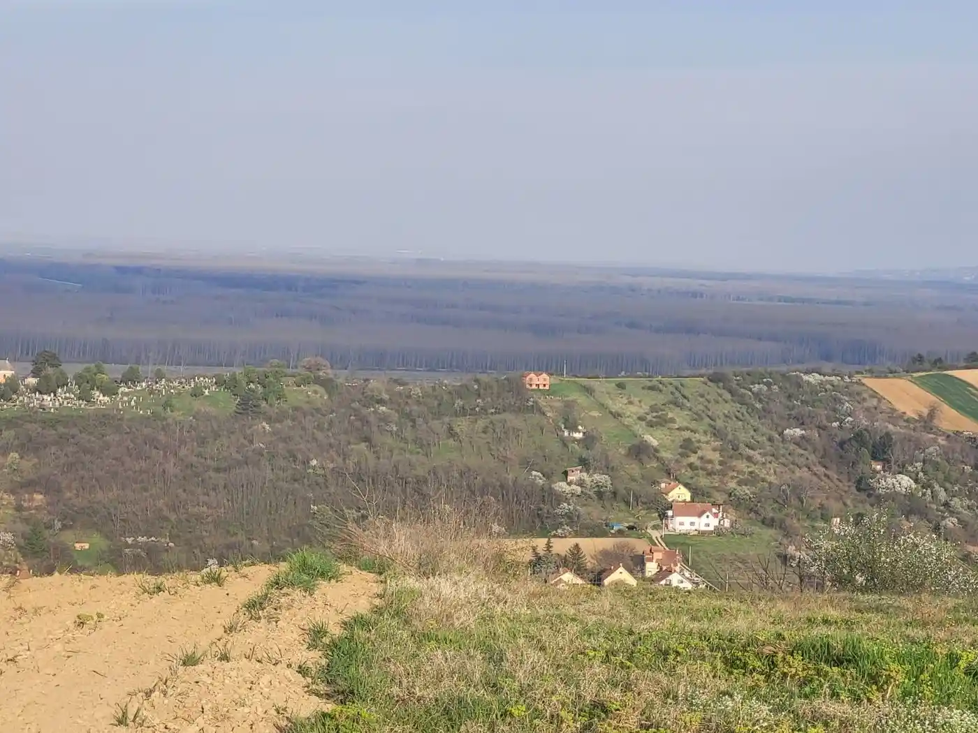 plac na prodaju Sremski Karlovci 4033m2 519729