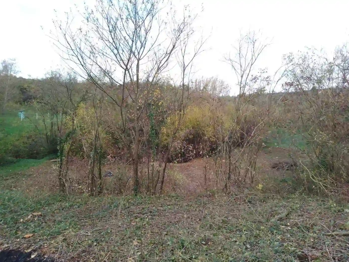 plac na prodaju Čerević 13463m2 519478