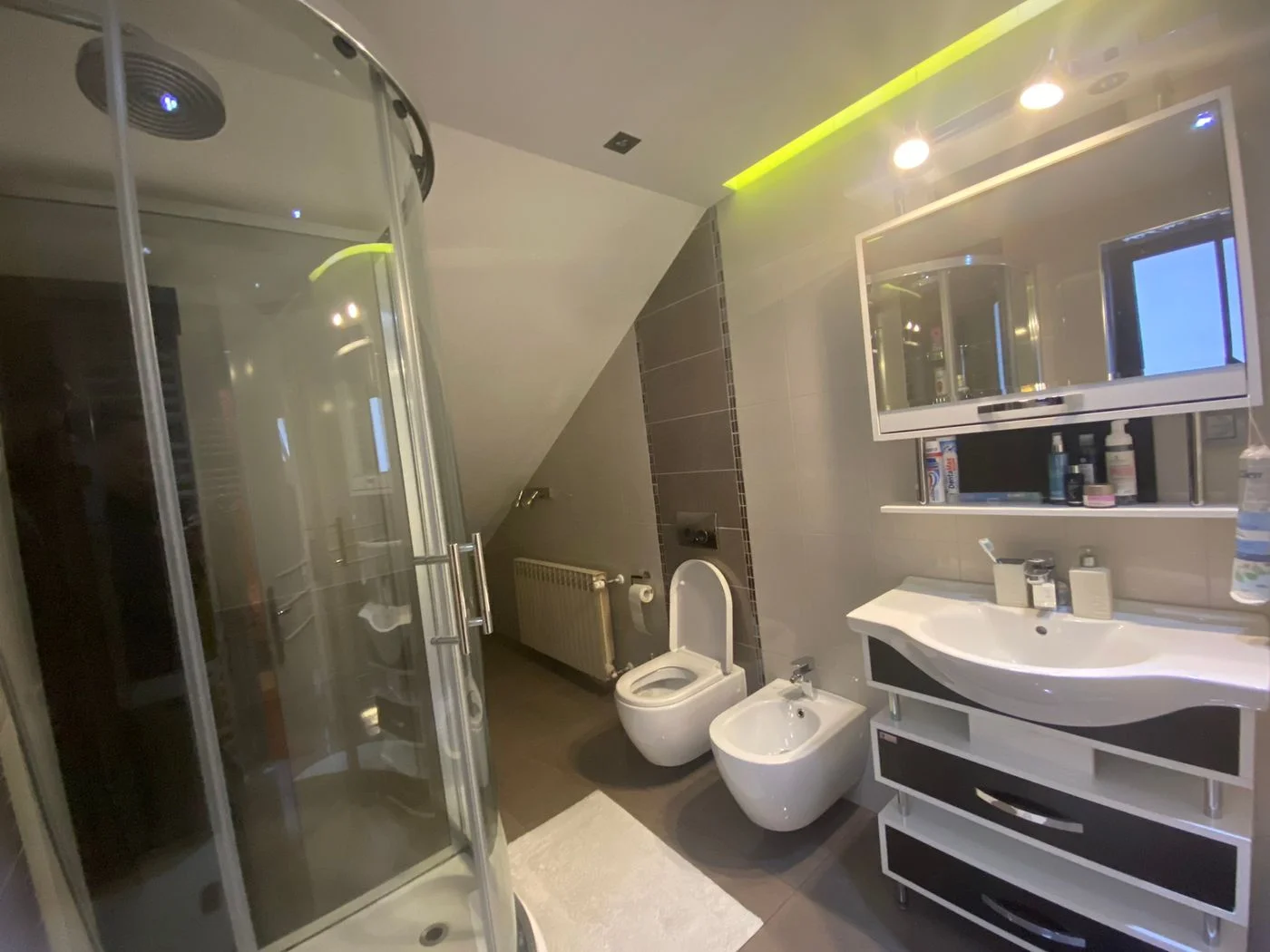kuca na prodaju Veternik 270m2 520089