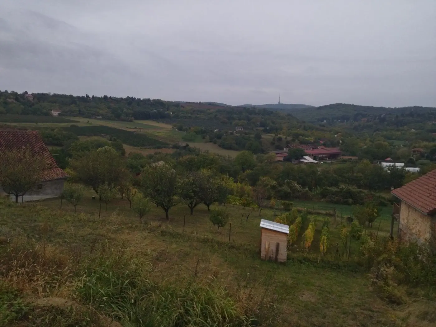 plac na prodaju Sremska Kamenica 1525m2 522368