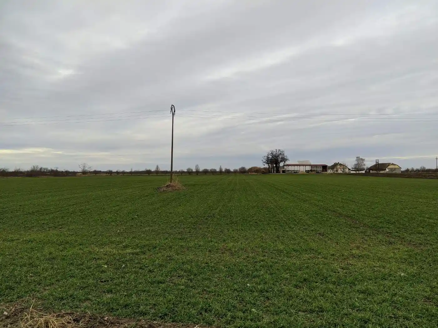 plac na prodaju Futog 19013m2 522379