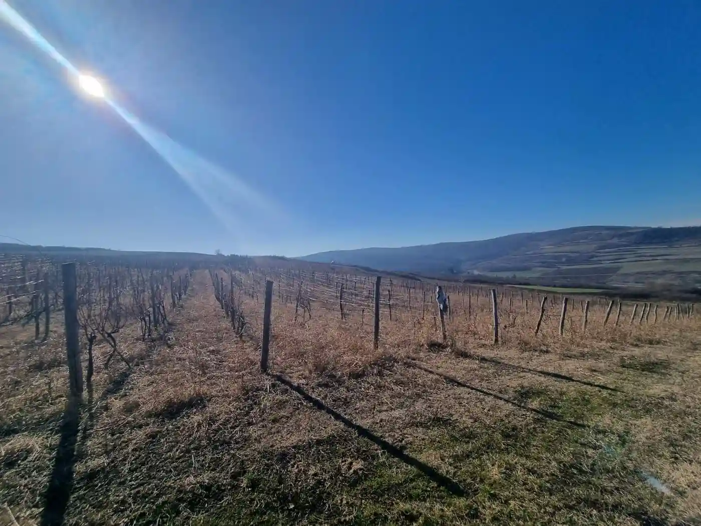 plac na prodaju Beočin, 29539m2 515636