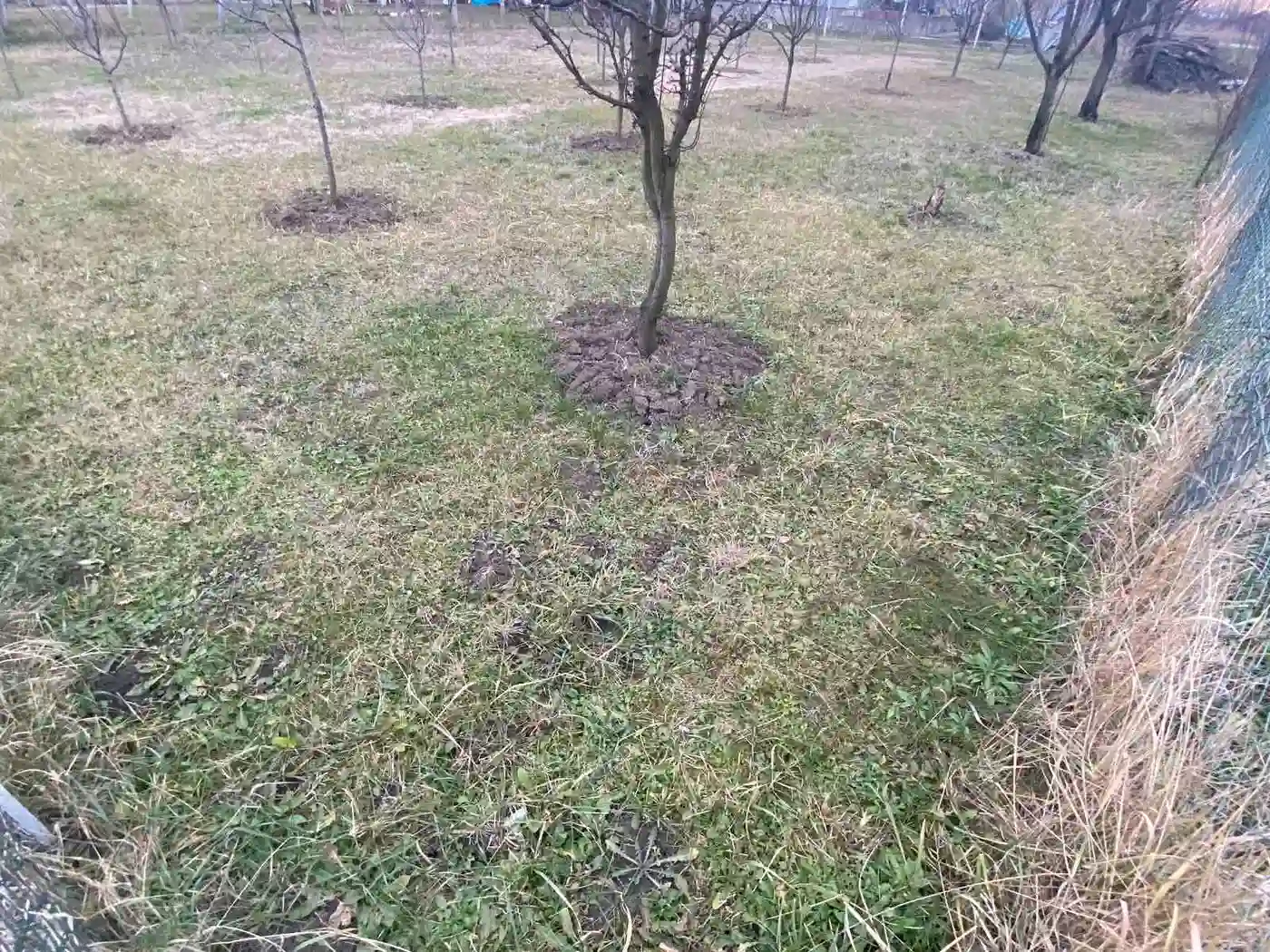plac na prodaju Veternik 600m2 523819