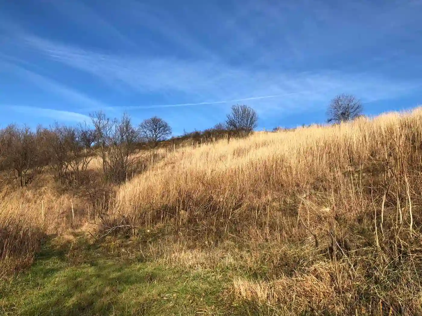plac na prodaju Beočin 6447m2 521673