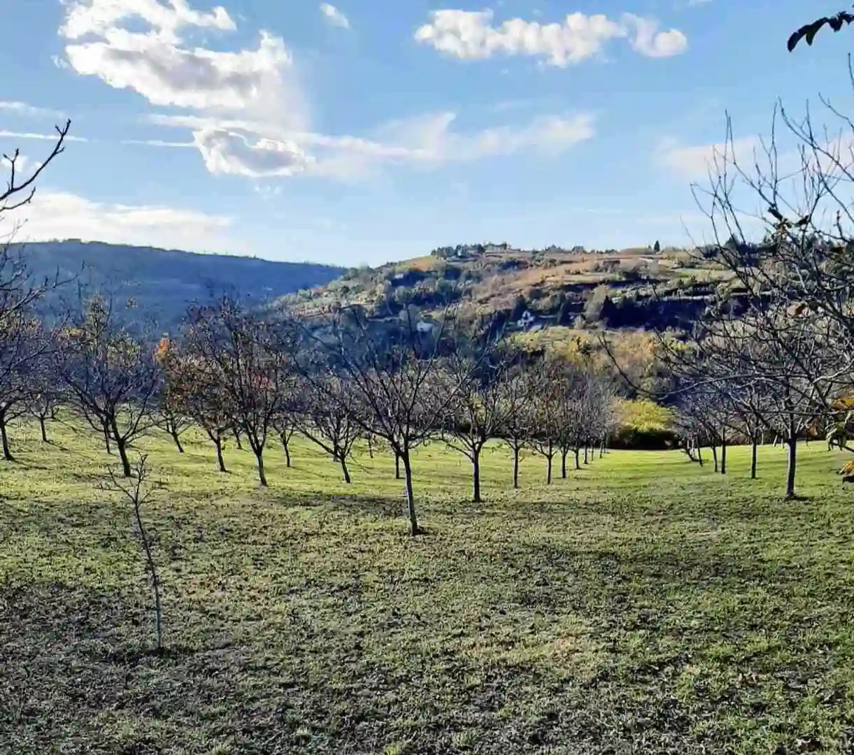 plac na prodaju Ledinci, 1512m2 524588