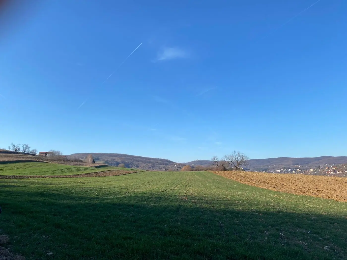 plac na prodaju Vrdnik 3646m2 524578