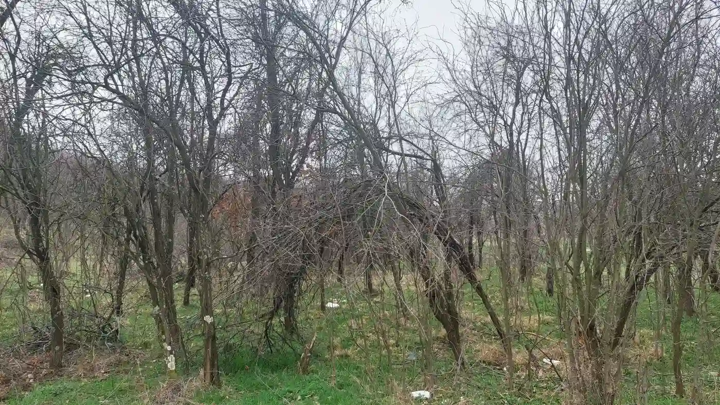 plac na prodaju Bajina Bašta 8343m2 524906