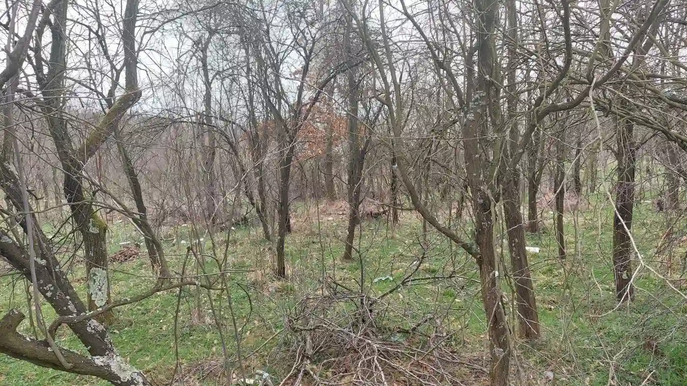 plac na prodaju Bajina Bašta 8343m2 524906