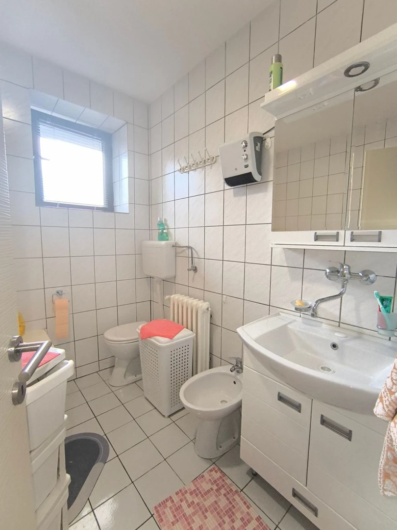 kuca na prodaju Novi Sad 360m2 525047