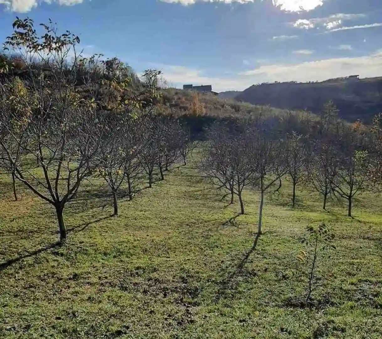 plac na prodaju Ledinci 1648m2 525129