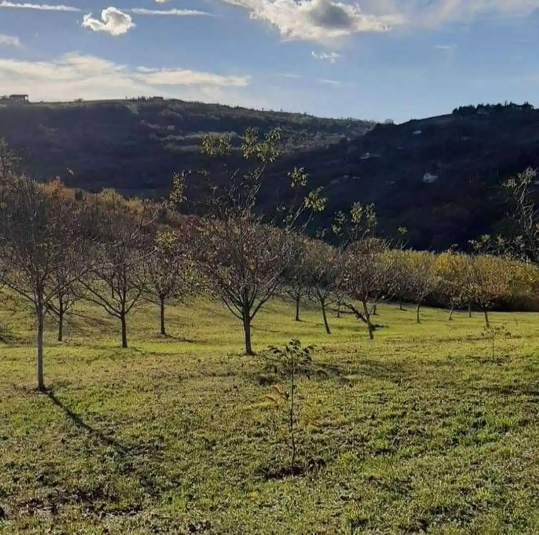 plac na prodaju Ledinci 1648m2 525129