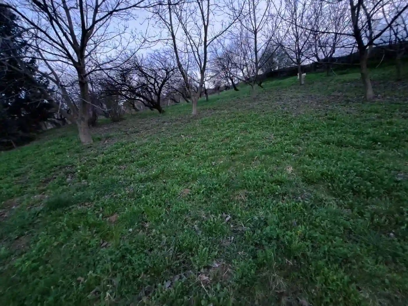 kuca na prodaju Irig 70m2 525752