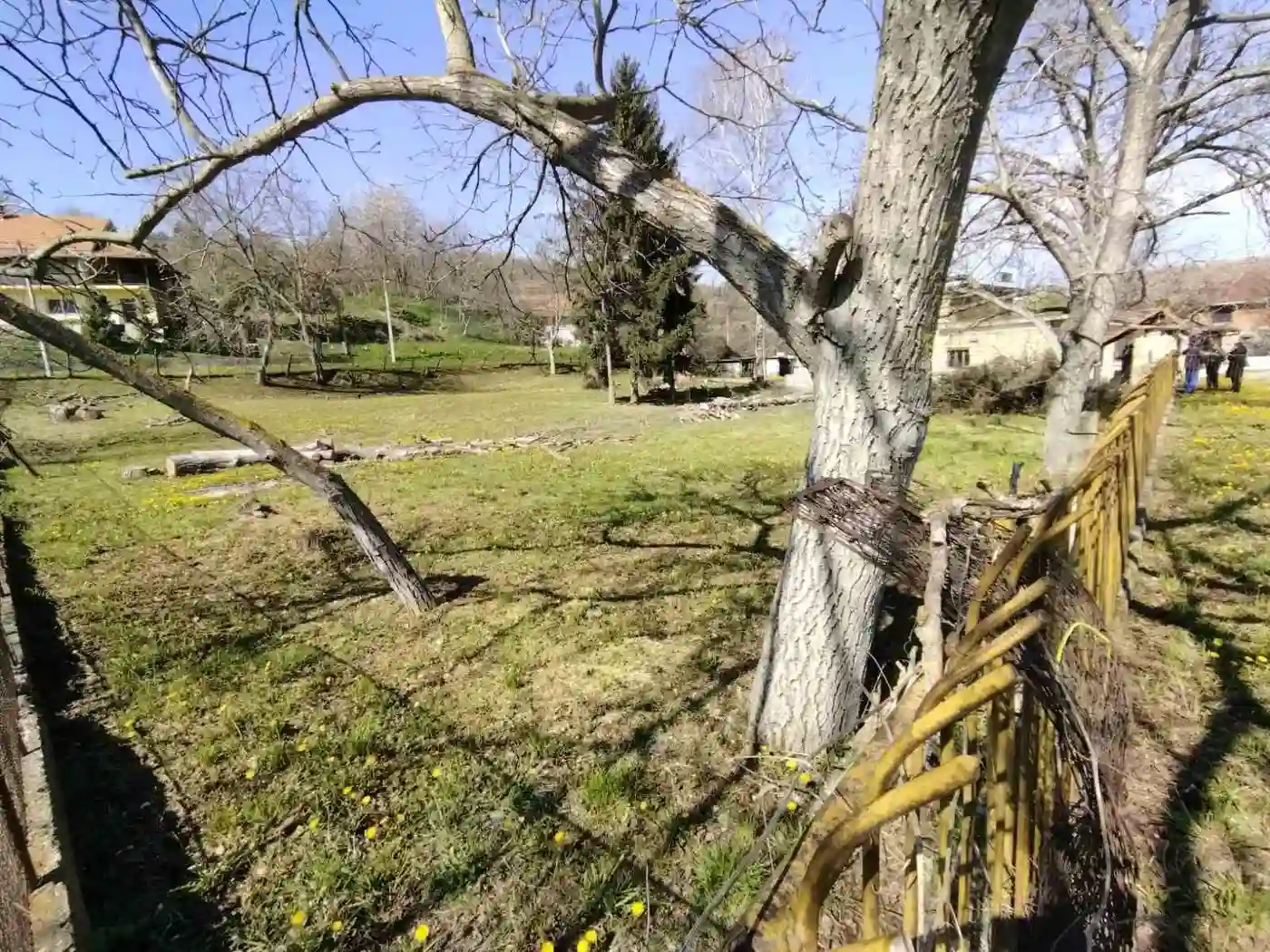 plac na prodaju Sremska Kamenica 900m2 525790