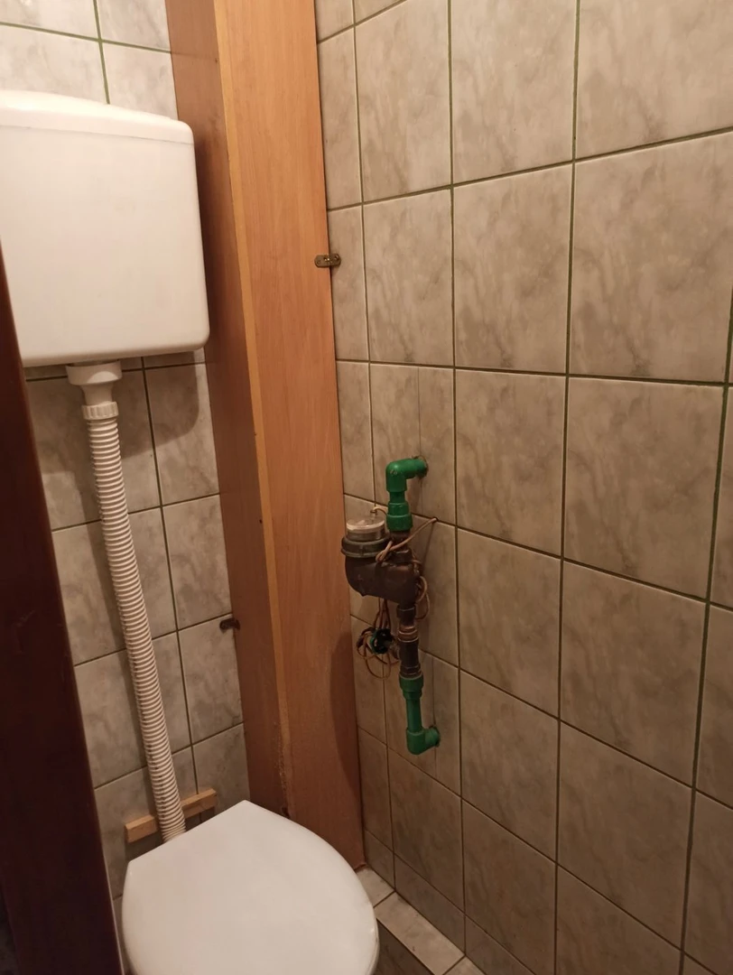 lokal na prodaju Novi Sad 60m2 525857