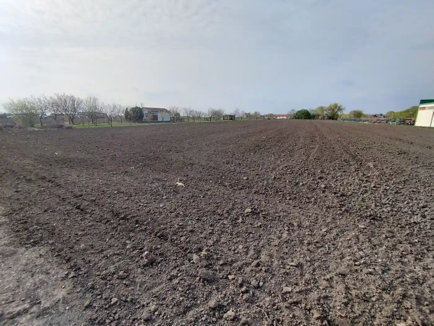 plac na prodaju Bački Jarak 6101m2 552392